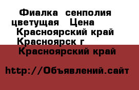 Фиалка (сенполия) цветущая › Цена ­ 180 - Красноярский край, Красноярск г.  »    . Красноярский край